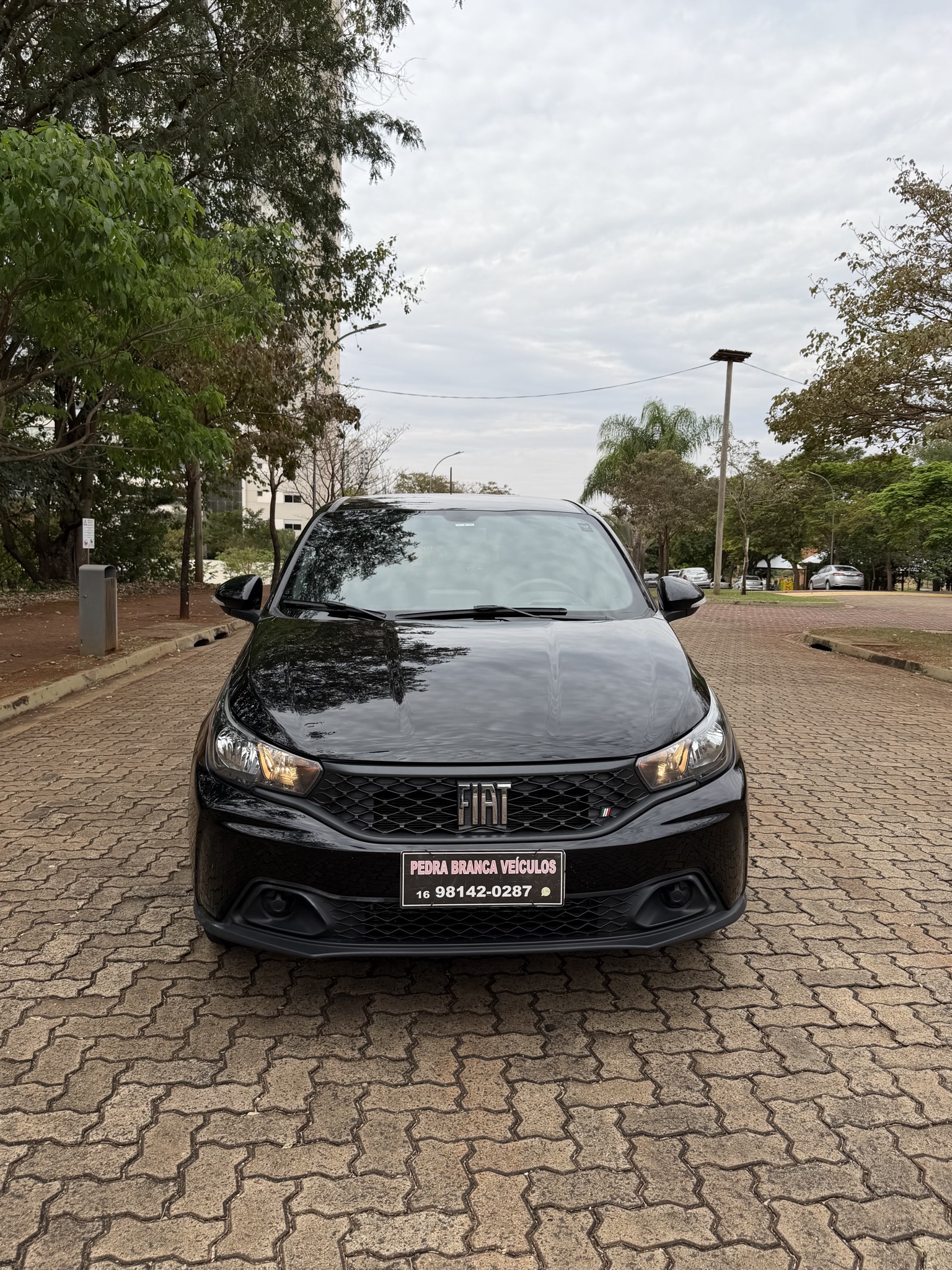 Fiat ARGO